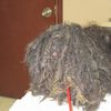 Before-And-After Photos Of Severely Neglected 11-Pound Shih Tzu With 4 Pounds Of Matted Hair